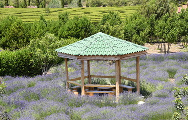pergola in Cyherbia gardens 