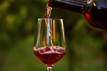 Pouring red wine into glass in the vineyard at sunset © Rostislav Sedlacek