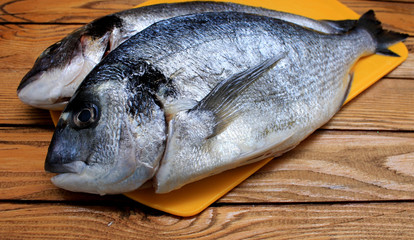 Dorado fish, sea bass prepared for cooking
