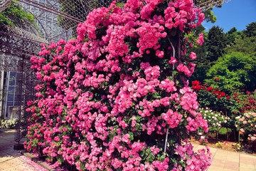 フラワーガーデン