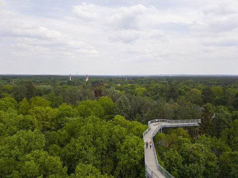 People walking at the Baumkronenpfad at Beelitz Heilstatten near Berlin, Beelitz, Germany