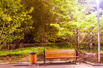 Bench at the night