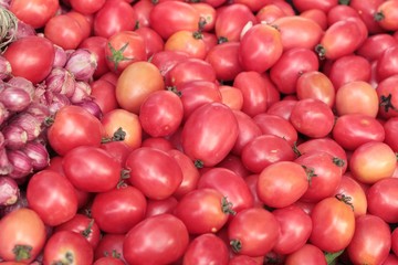 fresh tomatoes in the market.