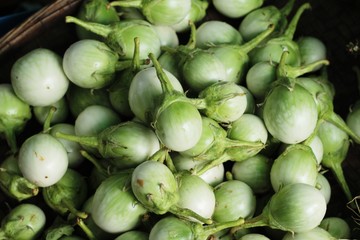 fresh eggplant in the market.