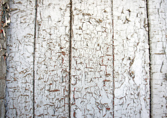 light blue shabby wood texture