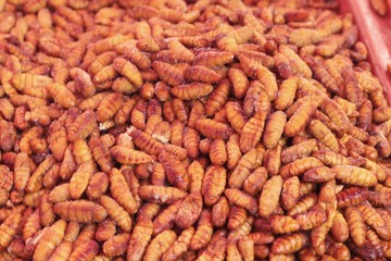 fried insects is delicious in the market.