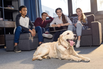 Smiling teenagers sitting on sofa and looking at golden retriever dog lying on floor