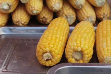Corn boil in the market.