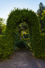 Gartenanlage im Gegenlicht