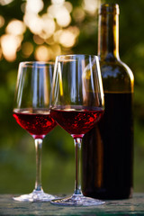 Two glasses of red wine and bottle
