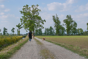 Fototapeta premium signora cammina con il cane