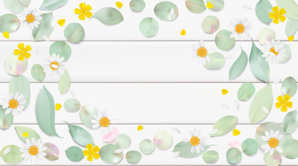Pastel background with camomile flowers.