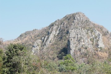 Leaf green and mountain in the nature
