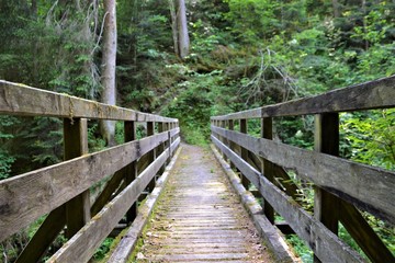 Fototapeta na wymiar Holzbrücke im Wald