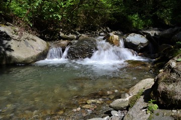 Bach in der Natur