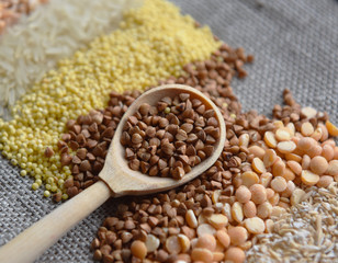 different grains in wooden spoon