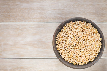 Yellow Mustard Seeds - Sinapis alba