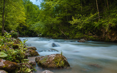 ND filter photo. Milk water flow rapid stream. Caucasus rocky mountain river in forest.