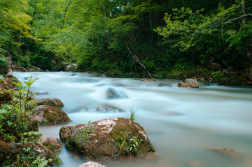 ND filter photo. Milk water flow rapid stream. Caucasus rocky mountain river in forest.