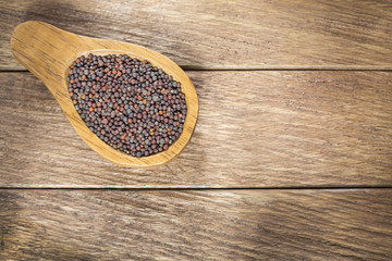 Black Mustard Seeds - Brassica nigra