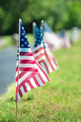 American veteran flags in the cemetery