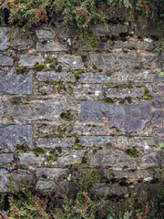 Background in the form of a frame. Above and below is limited by plant growth. Old wall of stones.