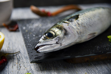 raw fresh mackerel
