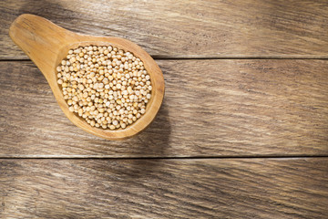 Yellow Mustard Seeds - Sinapis alba