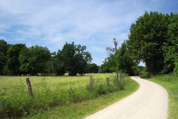 Hannover - Weg durch die Mittlere Leineaue, Deutschland