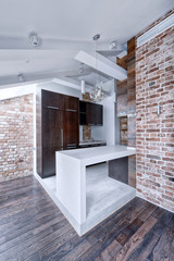 Modern apartment interior in loft style.The interior of the kitchen.
