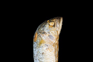 fried short mackerels frame on black background copy space for text and design.
