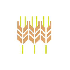 Wheat ear icon vector, filled flat sign, solid colorful pictogram. Symbol, logo illustration