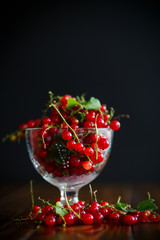 Ripe red currant in a glass vase
