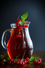 Fresh compote of ripe red currant