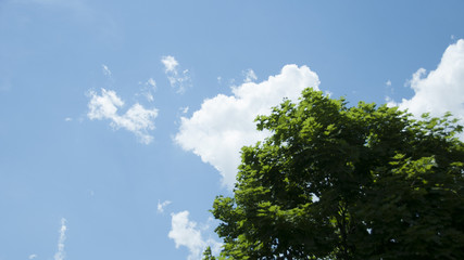 Sky with clouds and tree