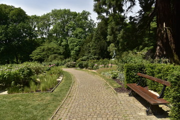 Banc le long d'une haie à la roseraie du parc de Mariemont à Morlanwelz 