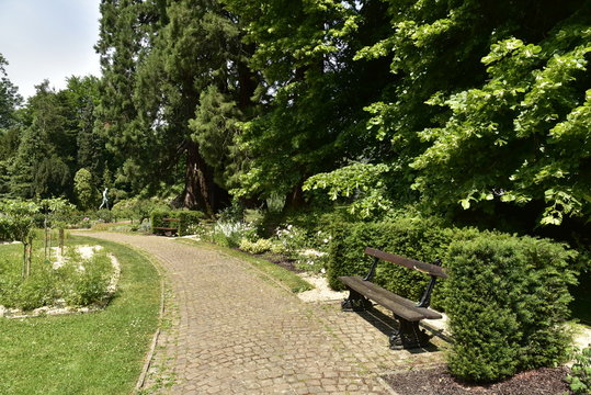 Endroit reposant &agrave; la roseraie du parc de Mariemont &agrave; Morlanwelz 