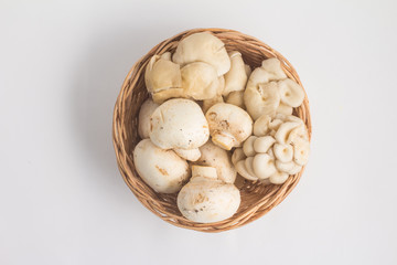 Various kinds of Mushroom. Champignon and Shimeji into a basket