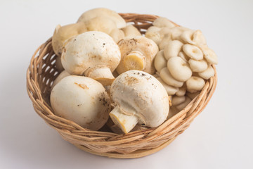 Various kinds of Mushroom. Champignon and Shimeji into a basket