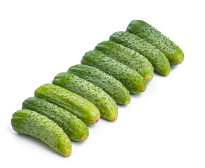 fresh cucumbers for salad and preservation isolated on white background
