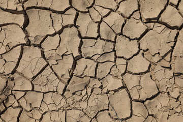 Cracked Earth