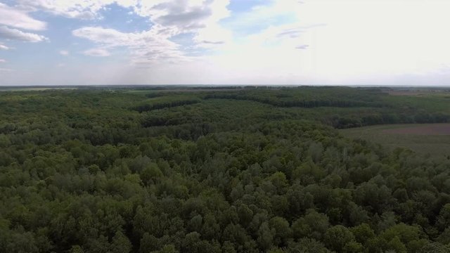 Aerial View. Flying over the beautiful forest.
