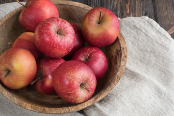 Äpfel aus dem Garten