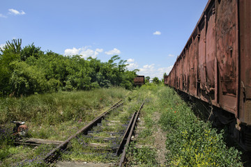 Obraz premium Old railway wagons in the grass