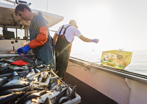 Two fishermen working on boat