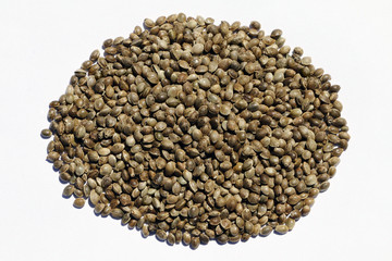 Cannabis Seeds