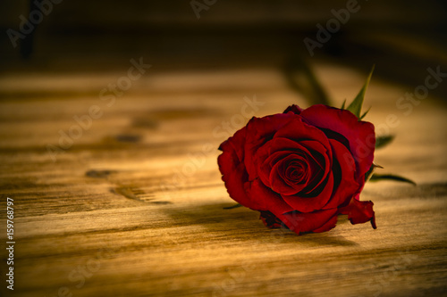 500_F_159768797_H2pOdTsROd82F9eQcyQllfeouG6wQ97Y.jpg