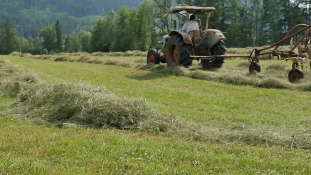 Traktor beim Heu wenden auf dem Feld