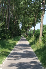 Bike street in bavaria / germany.