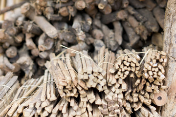 Gestapeltes Holz im Urwald von Thailand - Natur